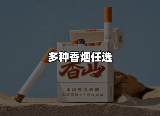 专业优势